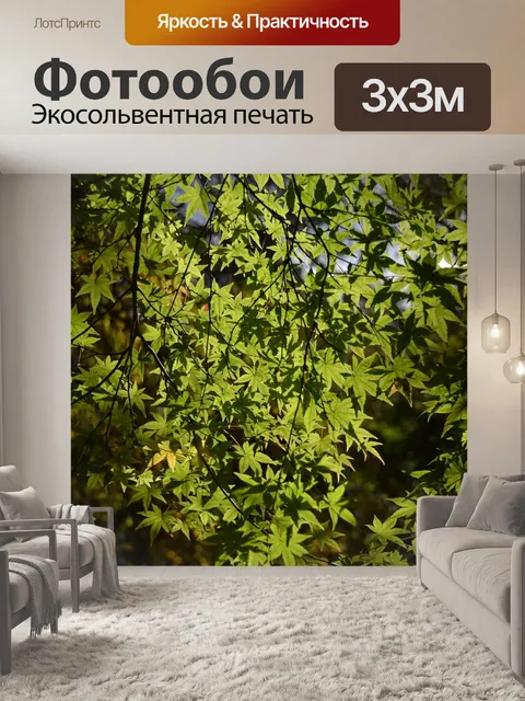 Фотообои Дерево