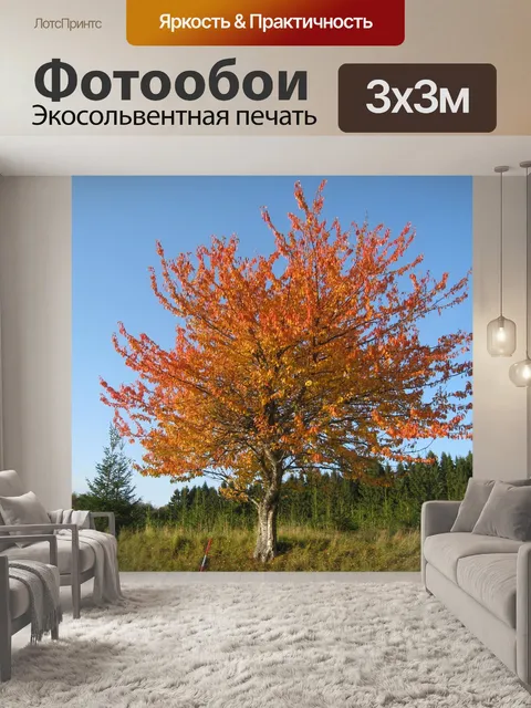 Фотообои Природа