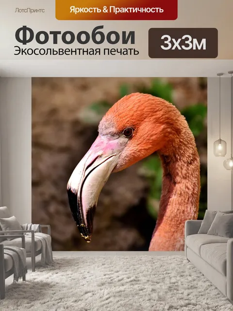Фотообои Фламинго