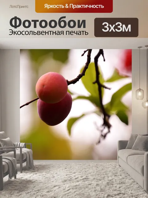 Фотообои Свежий