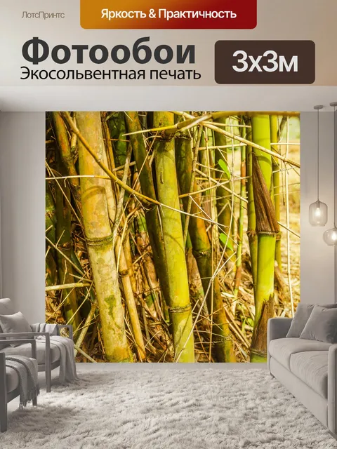 Фотообои Бамбуковый лес природа фон