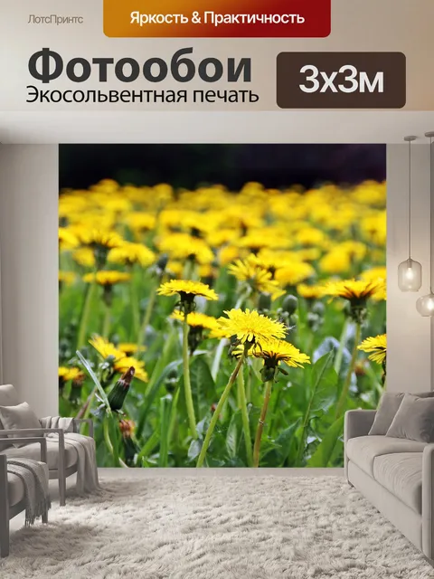 Фотообои Одуванчики