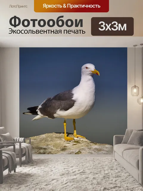 Фотообои Птица