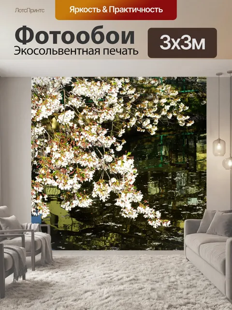 Фотообои Сакура Японии