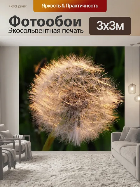 Фотообои Осот огородный