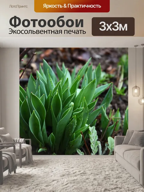 Фотообои Весна
