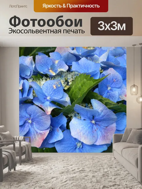 Фотообои Голубой цветок гортензии