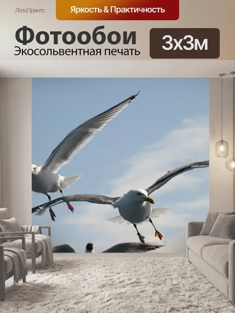 Фотообои Чайка