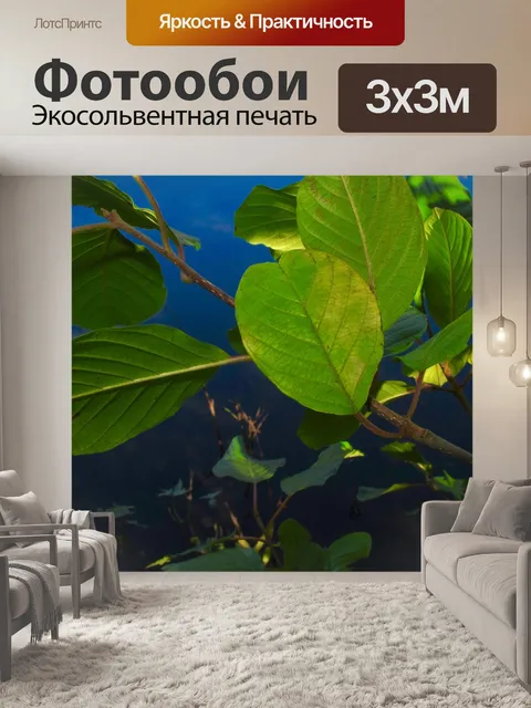 Фотообои Листья