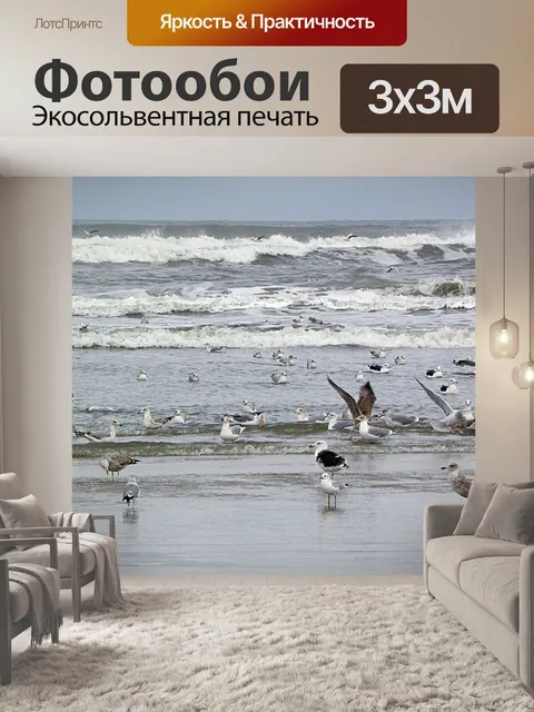 Фотообои Чайки