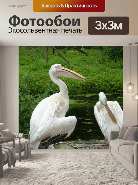 Фотообои Птицы