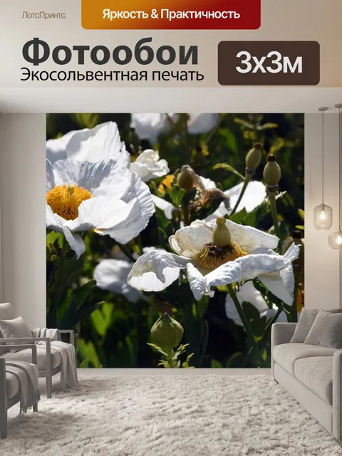 Фотообои Матилия Маки