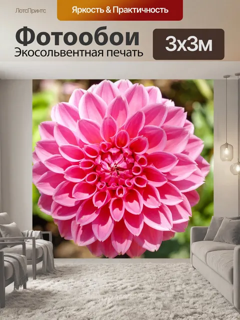 Фотообои цветник