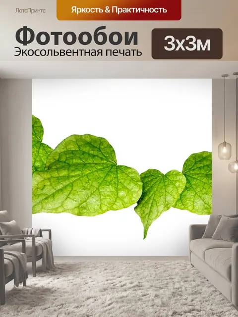 Фотообои Листья
