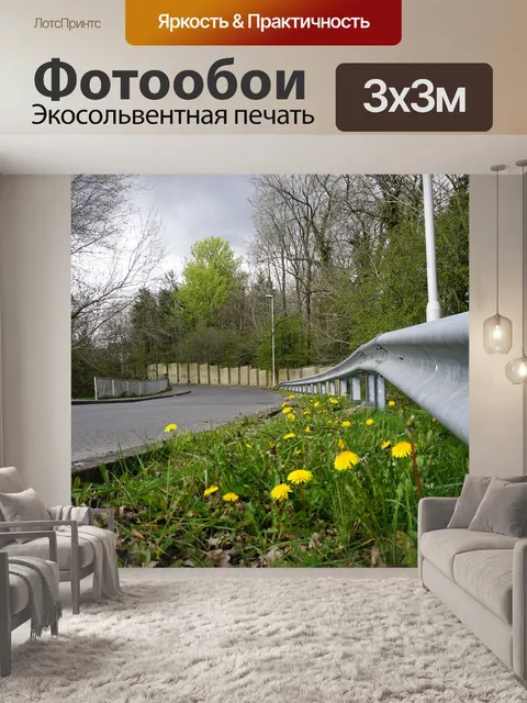 Фотообои Одуванчик
