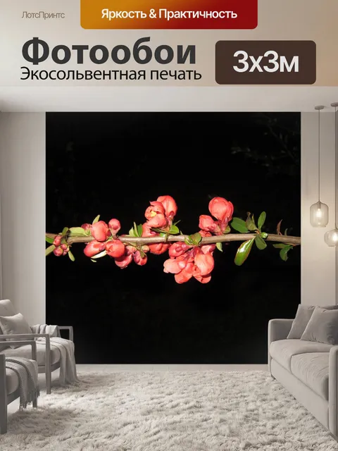 Фотообои Цветущая ветка