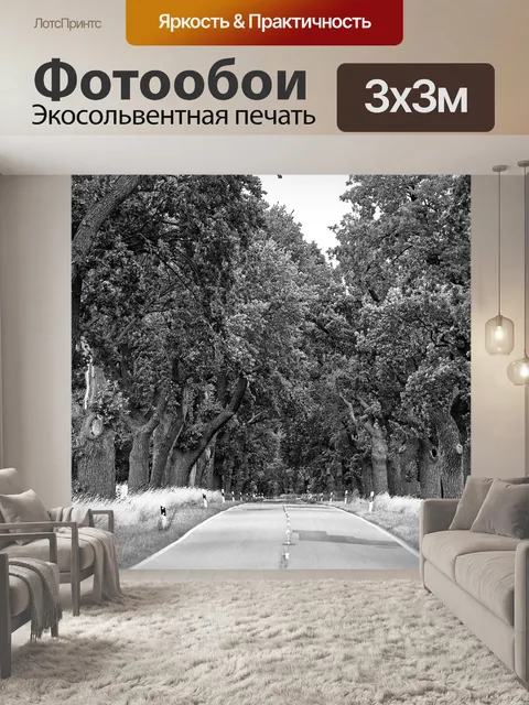 Фотообои Черно-белый