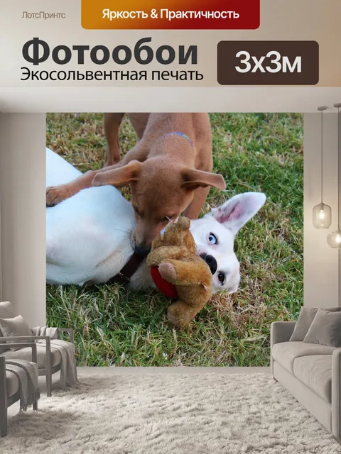 Фотообои Собаки
