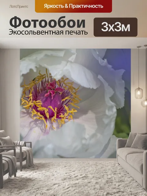 Фотообои Пион