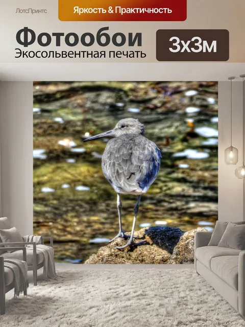 Фотообои Серый Вейдер на море