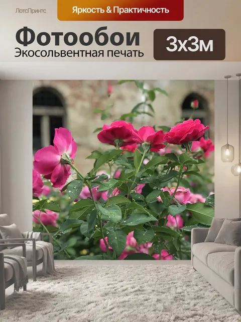 Фотообои Розы