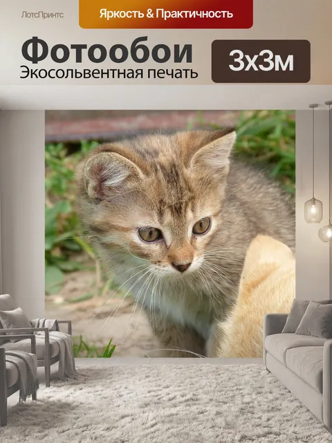 Фотообои Малые