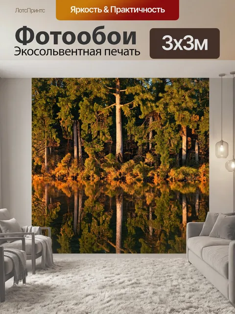 Фотообои лес в стиле фотореализм, лес на утренней заре, когда отражения деревьев вырисовываются на поверхности озера