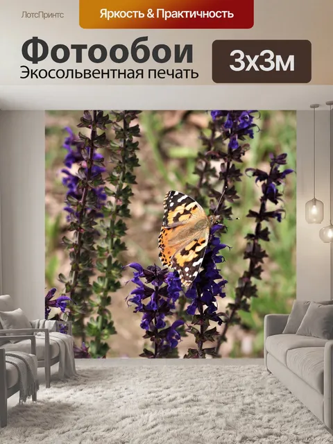 Фотообои Американская леди бабочка на шалфе