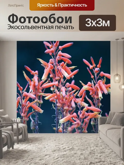 Фотообои оранжевые цветы алоэ в парке