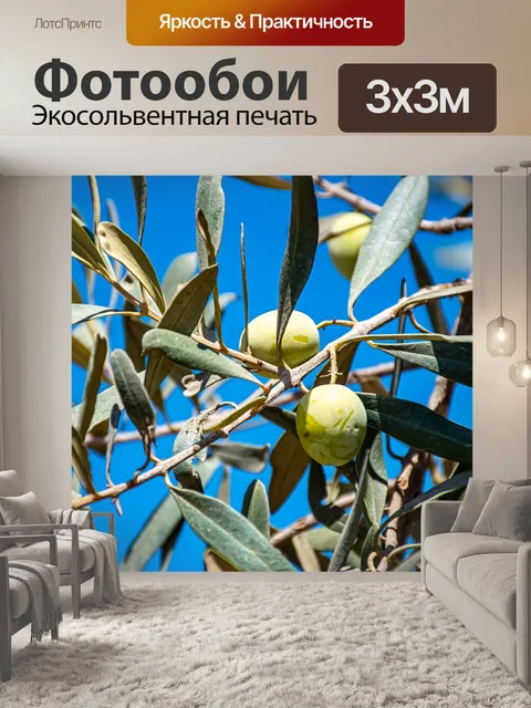 Фотообои Оливки