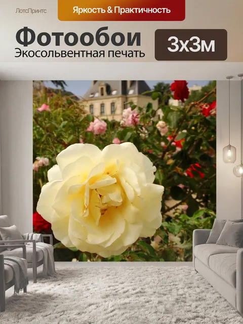 Фотообои Цветы