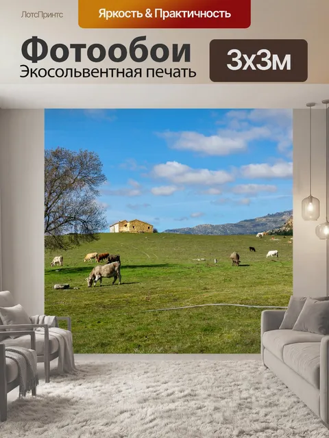 Фотообои Луг