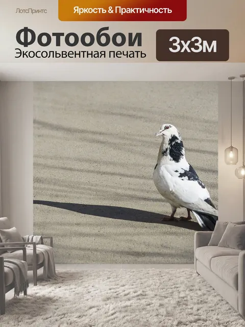 Фотообои Птицы