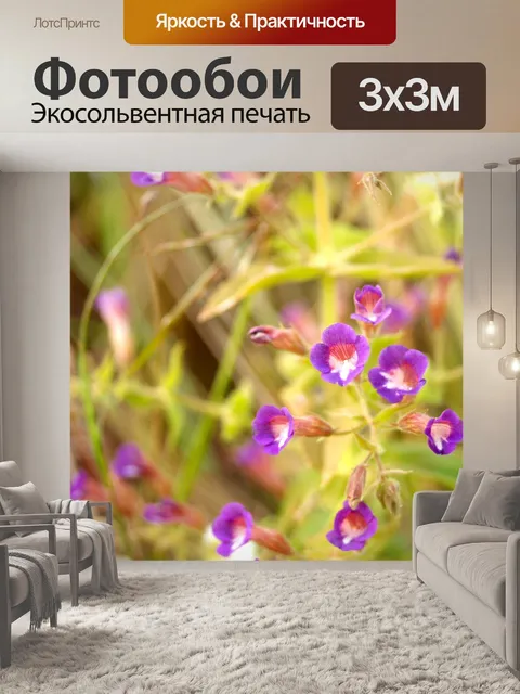 Фотообои Цветки одичалые Стоковая Фотография