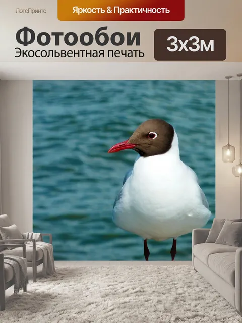 Фотообои Птица