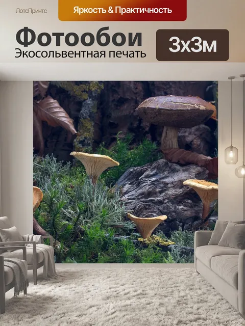 Фотообои Лес