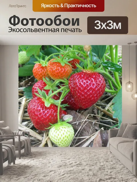 Фотообои Клубника