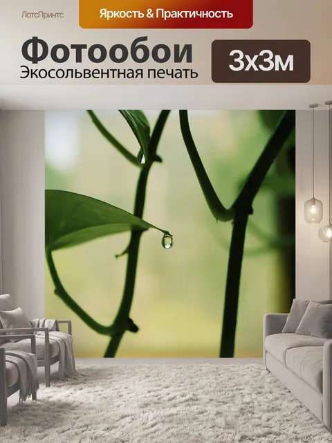 Фотообои Лист