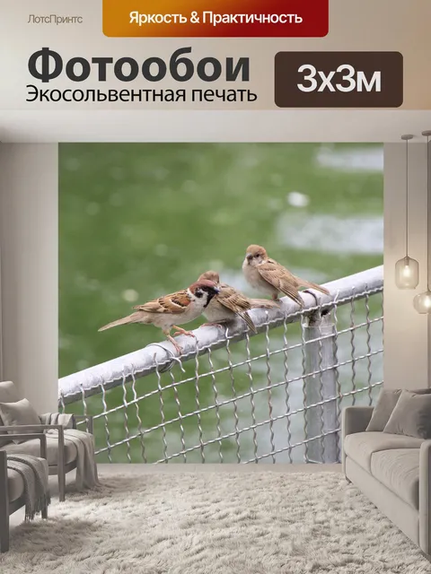 Фотообои Воробьи