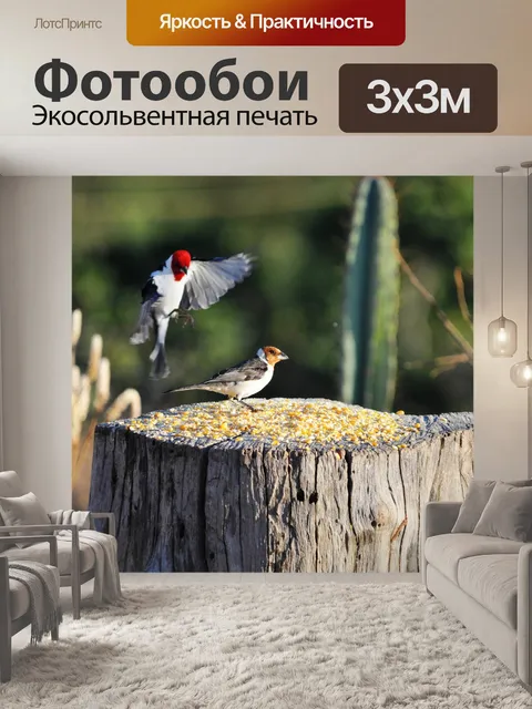 Фотообои Птицы