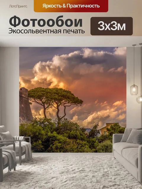 Фотообои Высокие деревья в Сен-Тропе