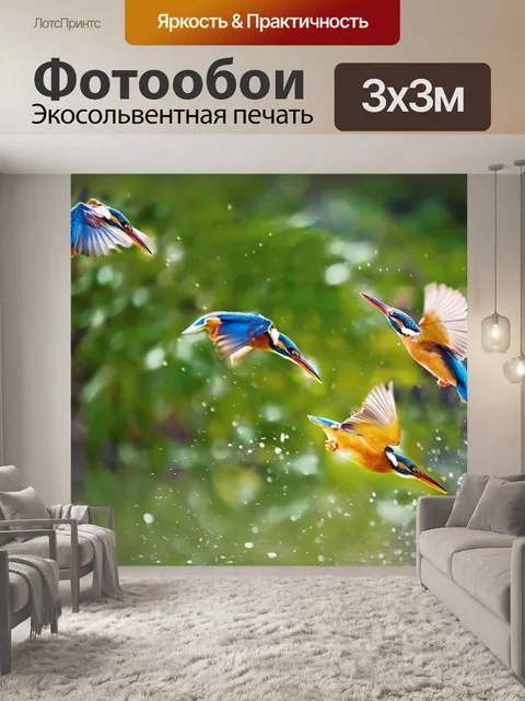Фотообои Птицы