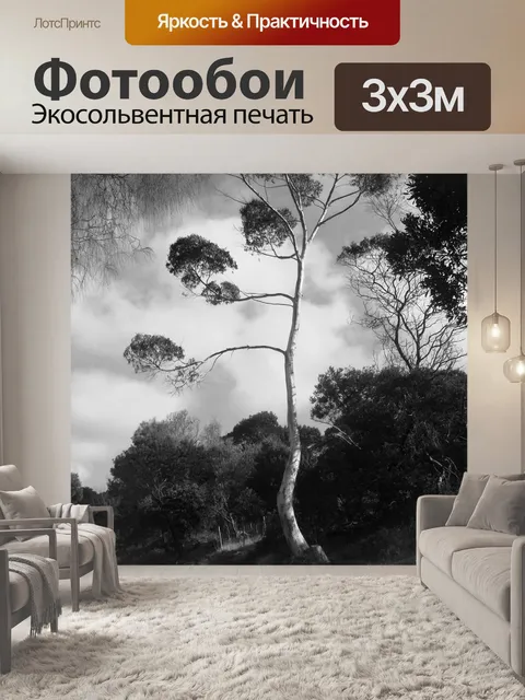 Фотообои Дерево