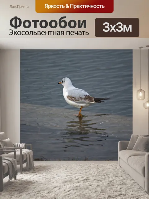 Фотообои Птица