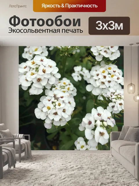 Фотообои Сад