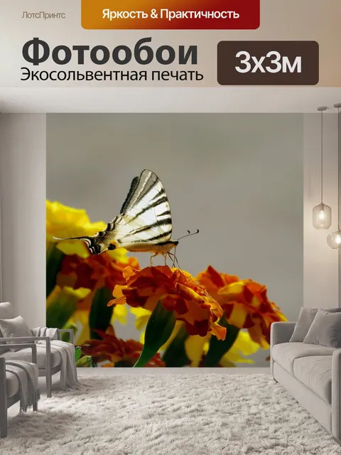 Фотообои Podalirio