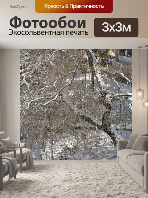 Фотообои Зима