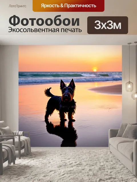 Фотообои шотландский терьер, наслаждающийся вечерним закатом на пляже, его силуэт отображается на воде