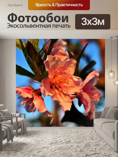 Фотообои Макро