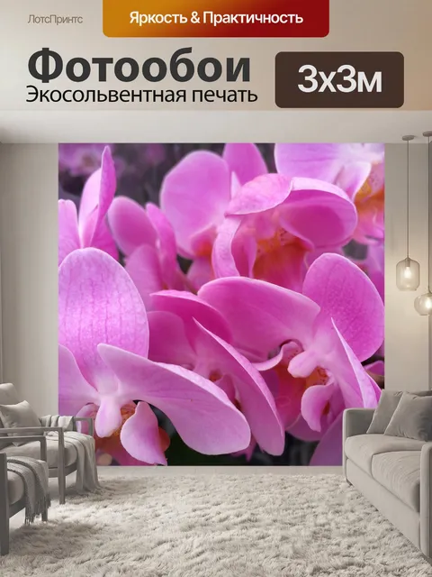 Фотообои Орхидеи